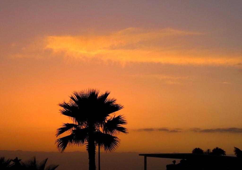 Beach-Front Tenerife Sth Sea And Pool View Costa Del Silencio Bagian luar foto
