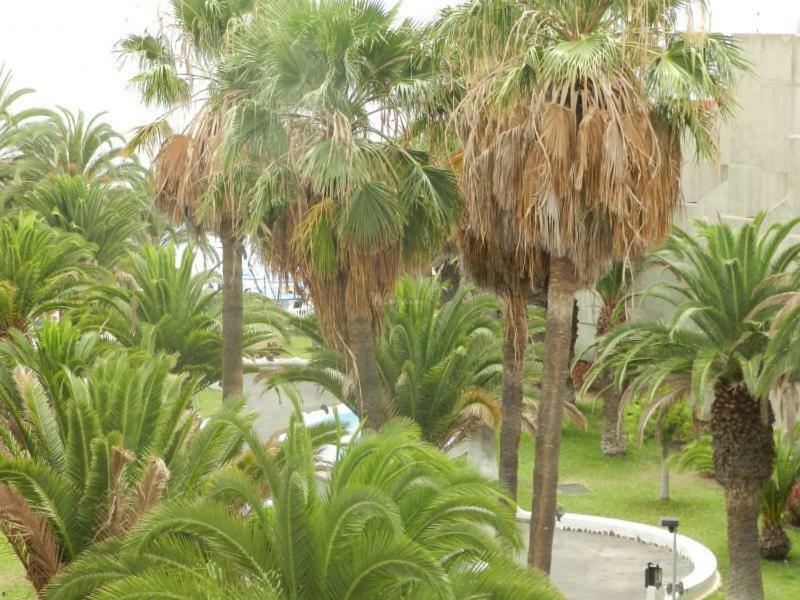 Beach-Front Tenerife Sth Sea And Pool View Costa Del Silencio Bagian luar foto